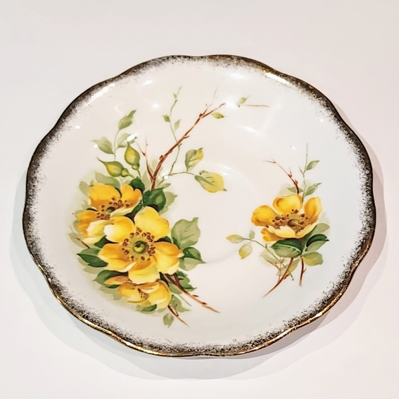 Mild rose Royal Standard. Tea cup and Saucer - Picture 6 of 9